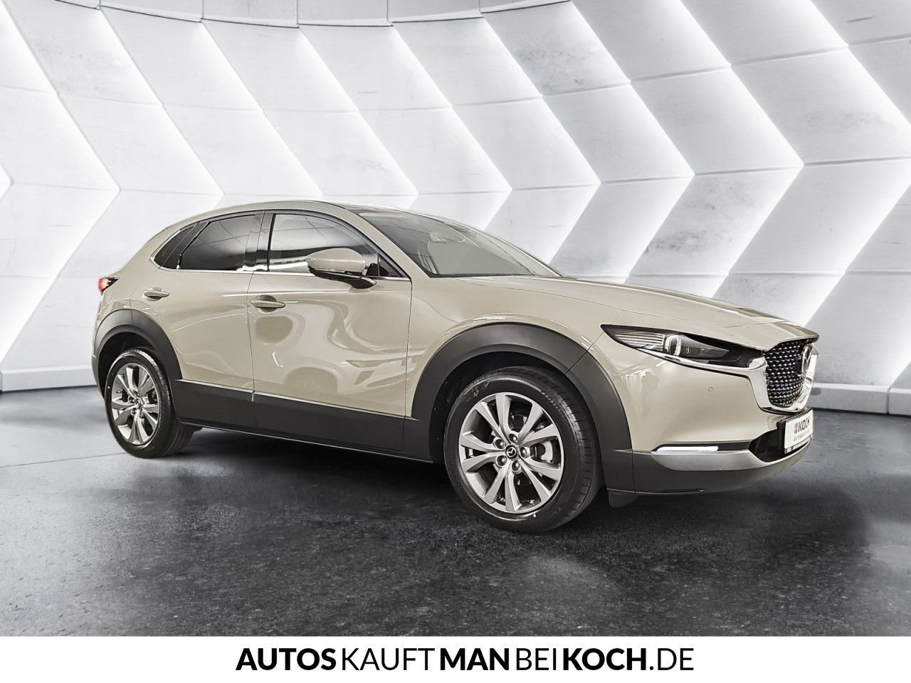 Mazda CX-30 2,5 e-SKYACTIV-G 140 MHybrid Exclusive-Lin