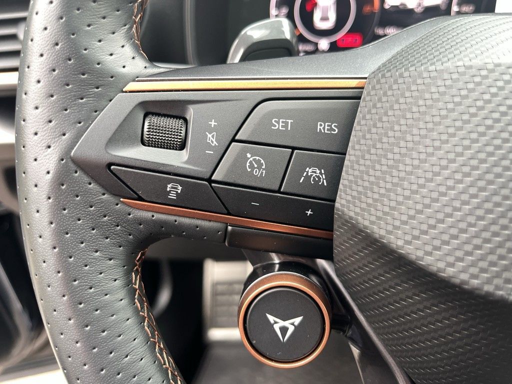 Cupra Formentor 2.0 TSI DSG VZ 4Drive AHK Pano Navi LE