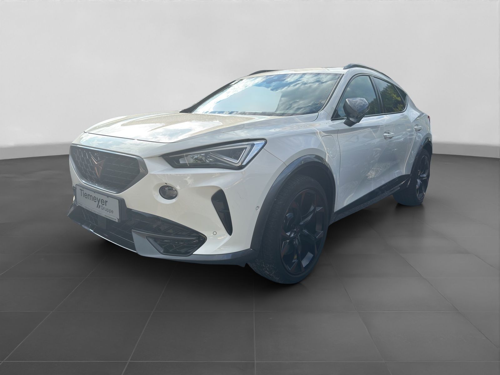 Cupra Formentor VZ eHybrid LM19 PANO AHK 360° SUPERSPO