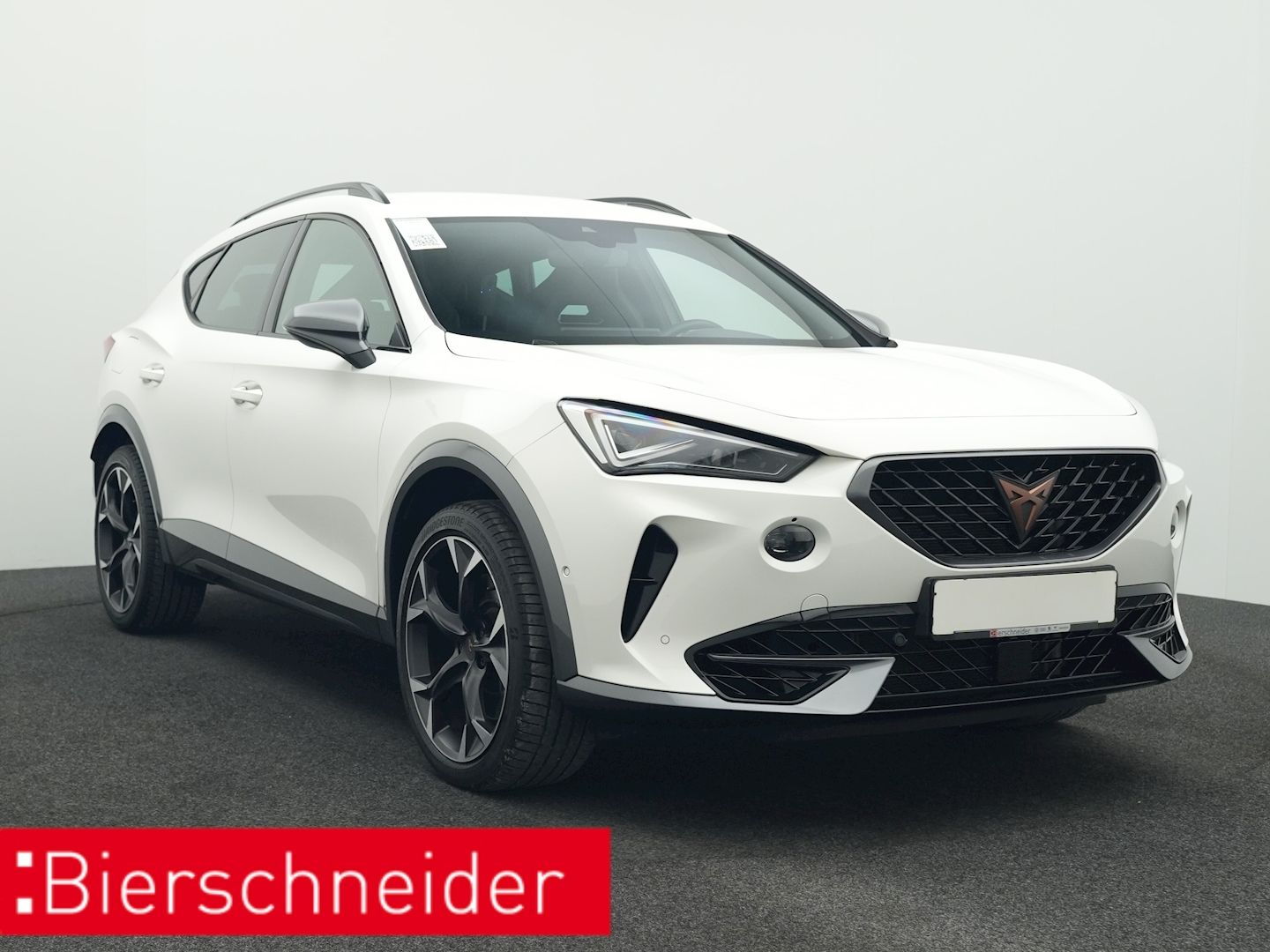 Cupra Formentor 2.0 TSI DSG 4Dr. VZ AHK BEATS NAVI LED