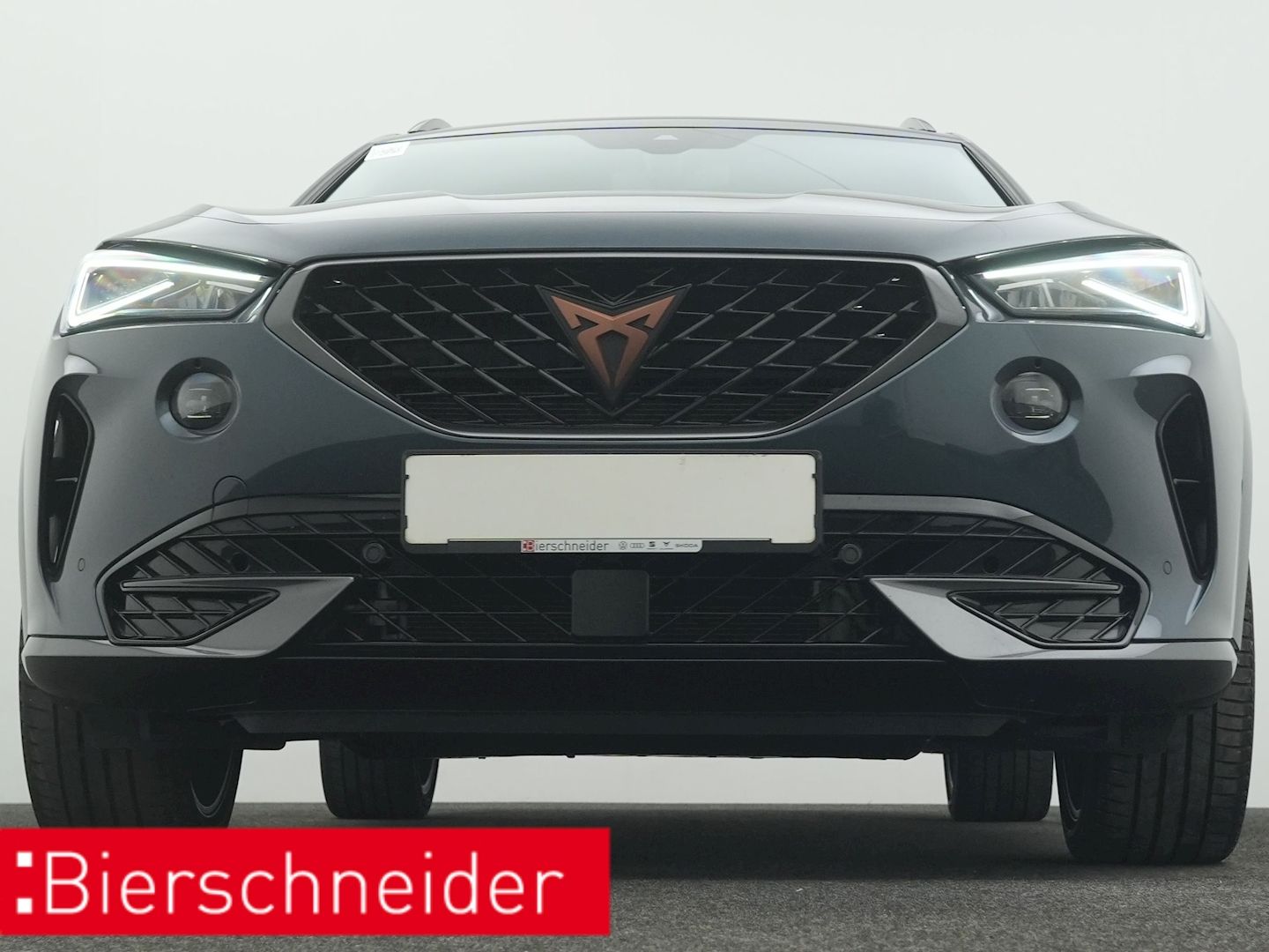 Cupra Formentor 1.4 TSI e-Hybrid DSG NAVI AHK LED ACC