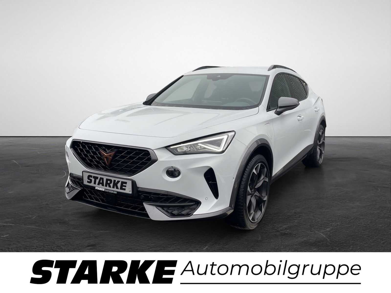 Cupra Formentor 1.4 TSI e-Hybrid  AHK Navi LED Kamera