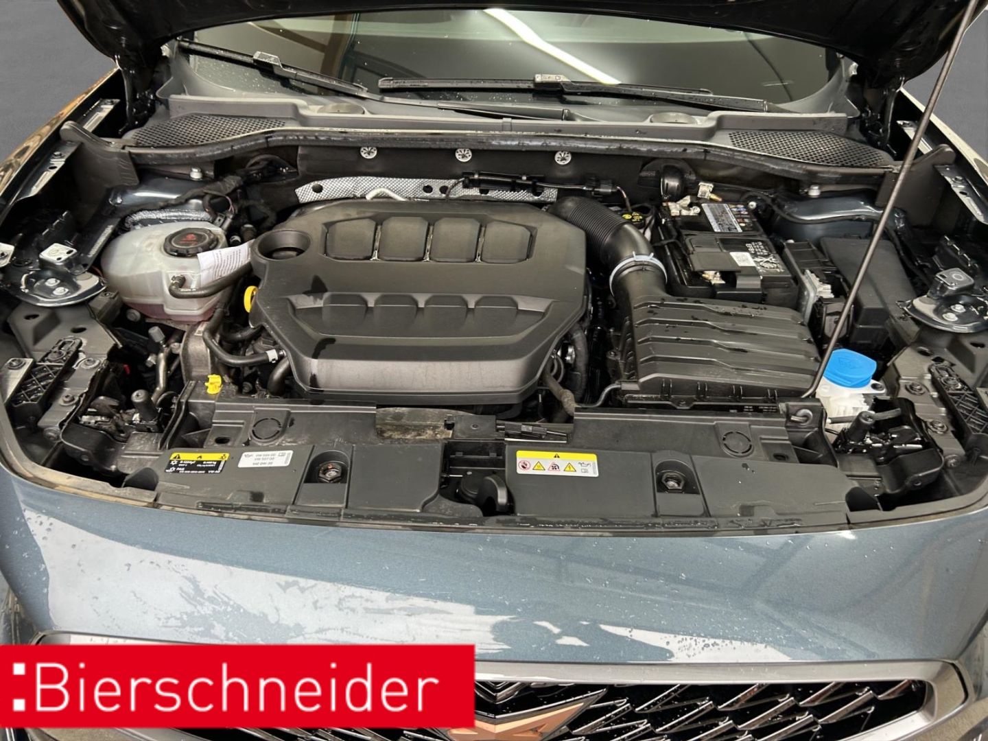 Cupra Formentor 2.0 TSI DSG 4Drive VZ ab mtl. 199,- PA