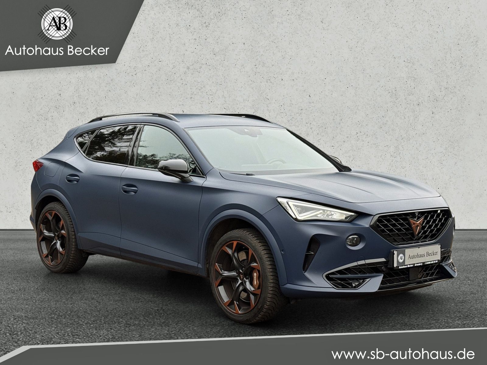 Cupra Formentor VZ 4Drive+ACC+LED+360°KAMERA+BREMBO+