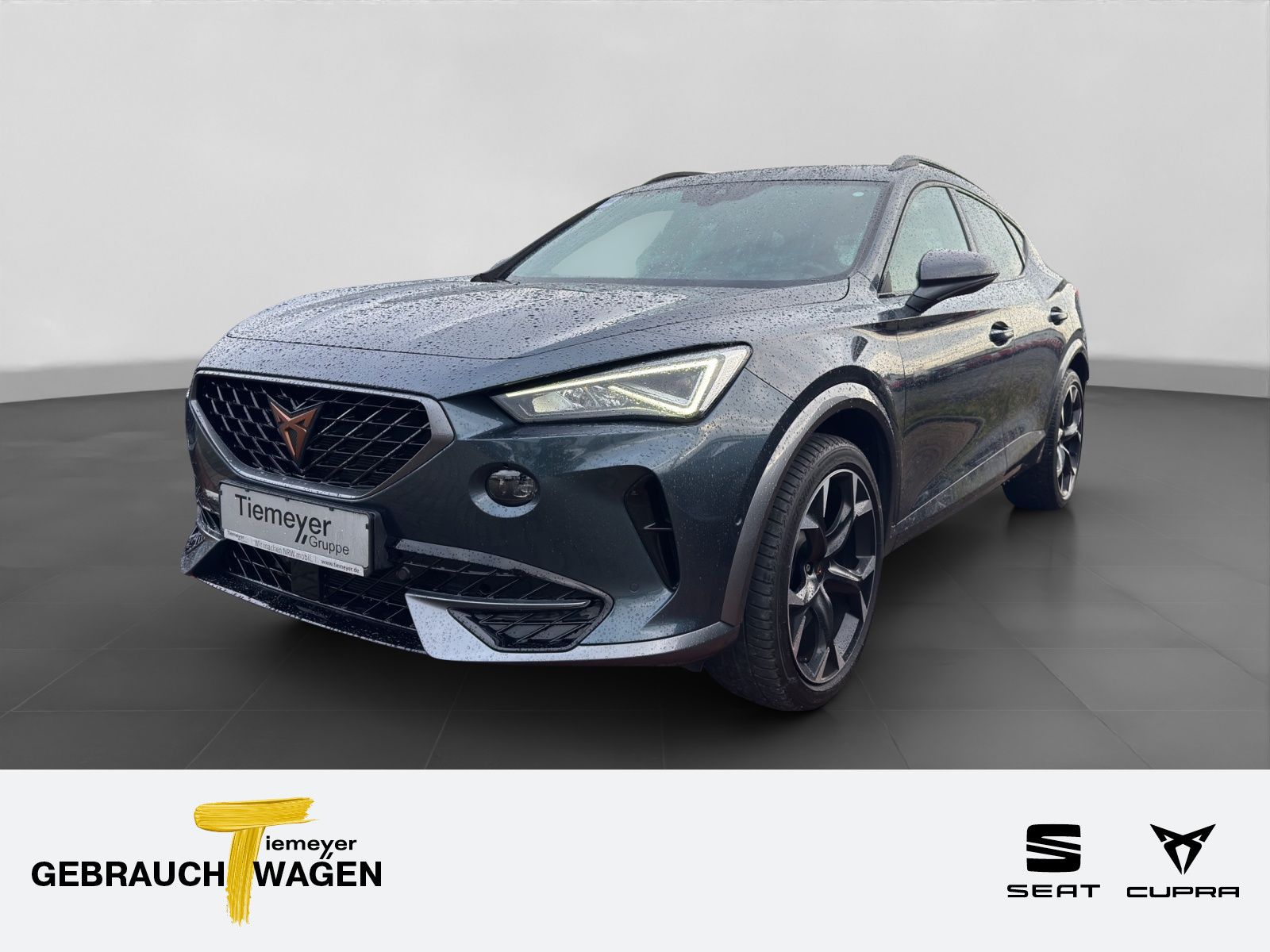 Cupra Formentor 2.0 TSI DSG 4D VZ KAMERA PANO AHK