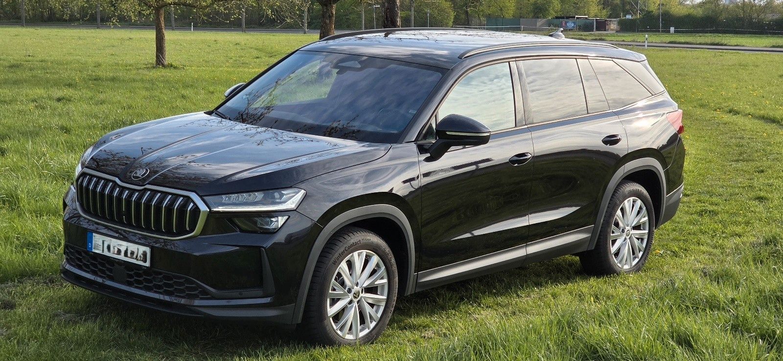 Skoda Kodiaq 2.0 TDI 142 kW 4x4 Selection *St-Hzg.*AHK
