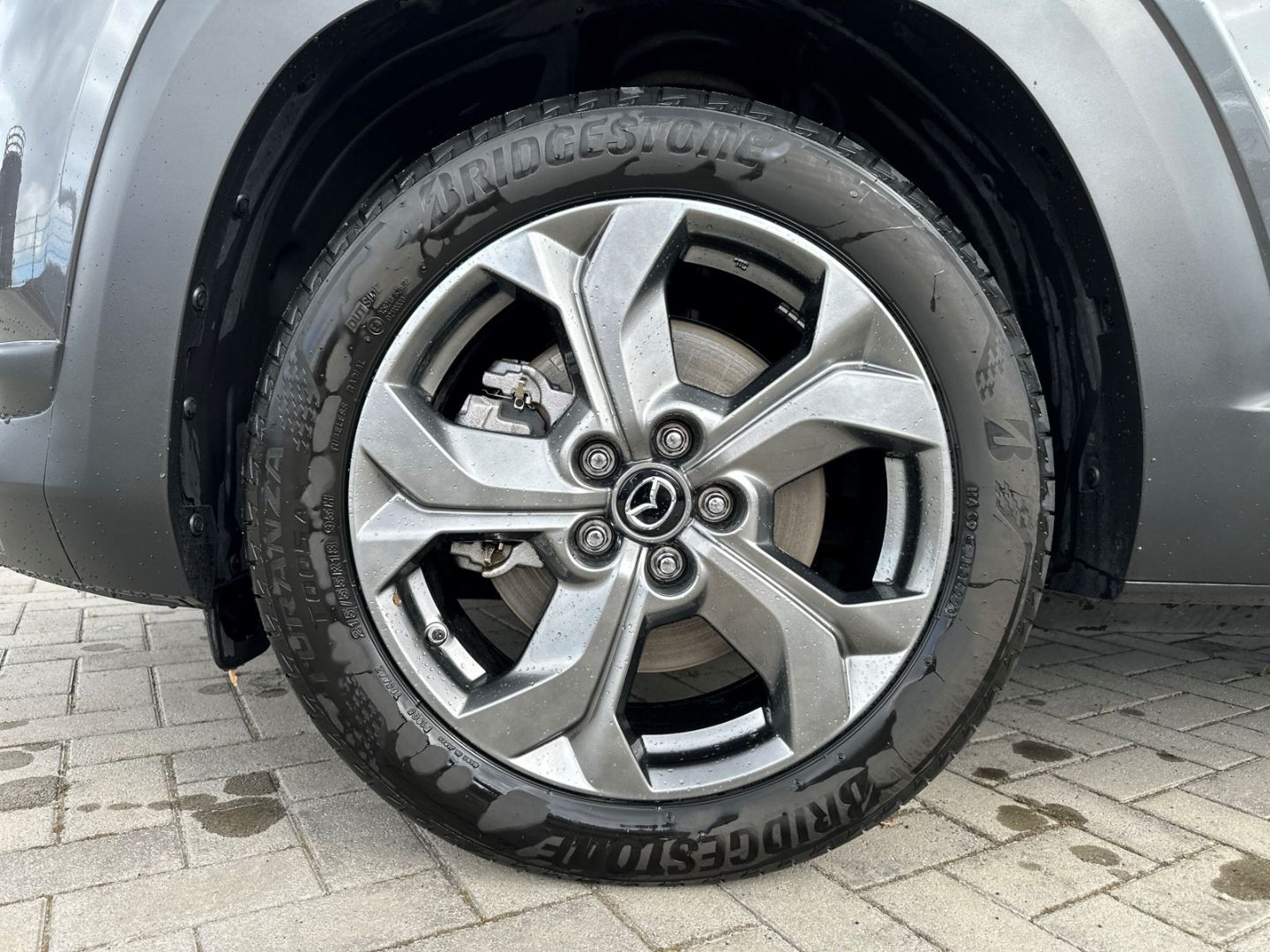 Mazda MX-30 Makoto e-SKYACTIV HUD AD El. Panodach Navi