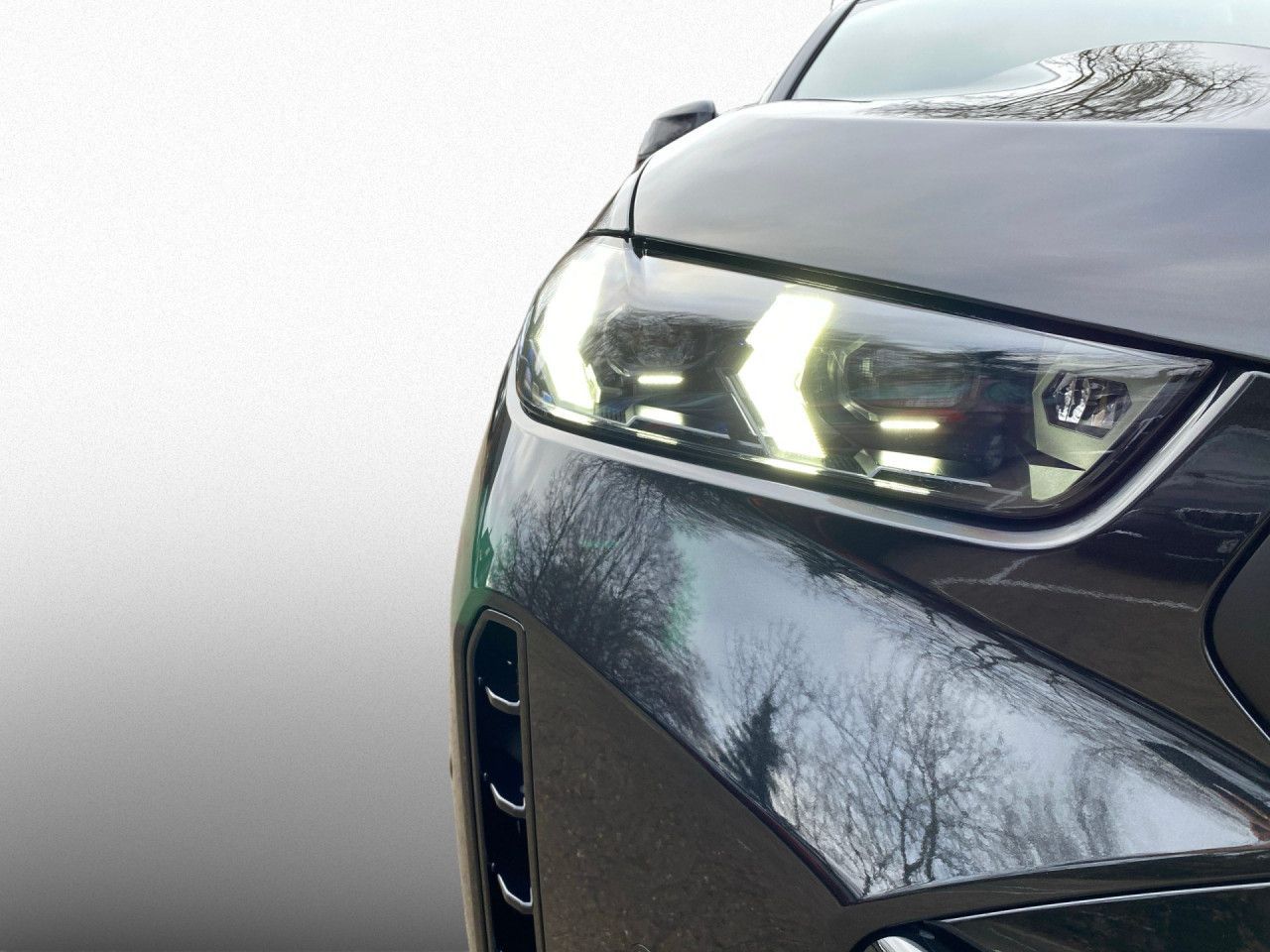 BMW X6 xDrive30d M Sport, AHK, Alarm, Standheizung