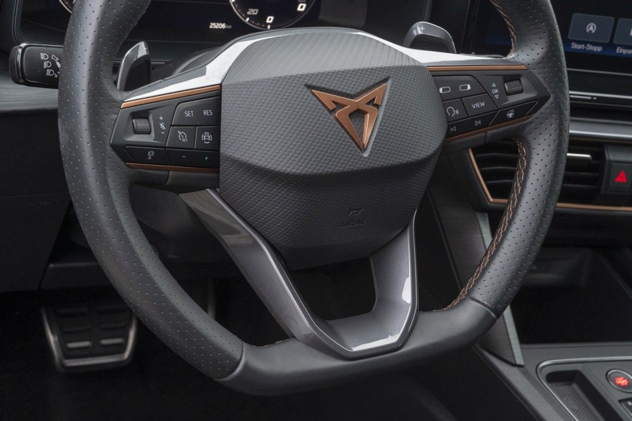 Cupra Formentor VZ 2.0 TSI+AHK+Top View+E-Sitz Klima