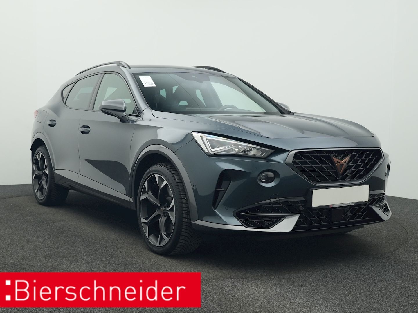 Cupra Formentor 2.0 TSI DSG 4Dr. VZ AHK NAVI KAMERA AC