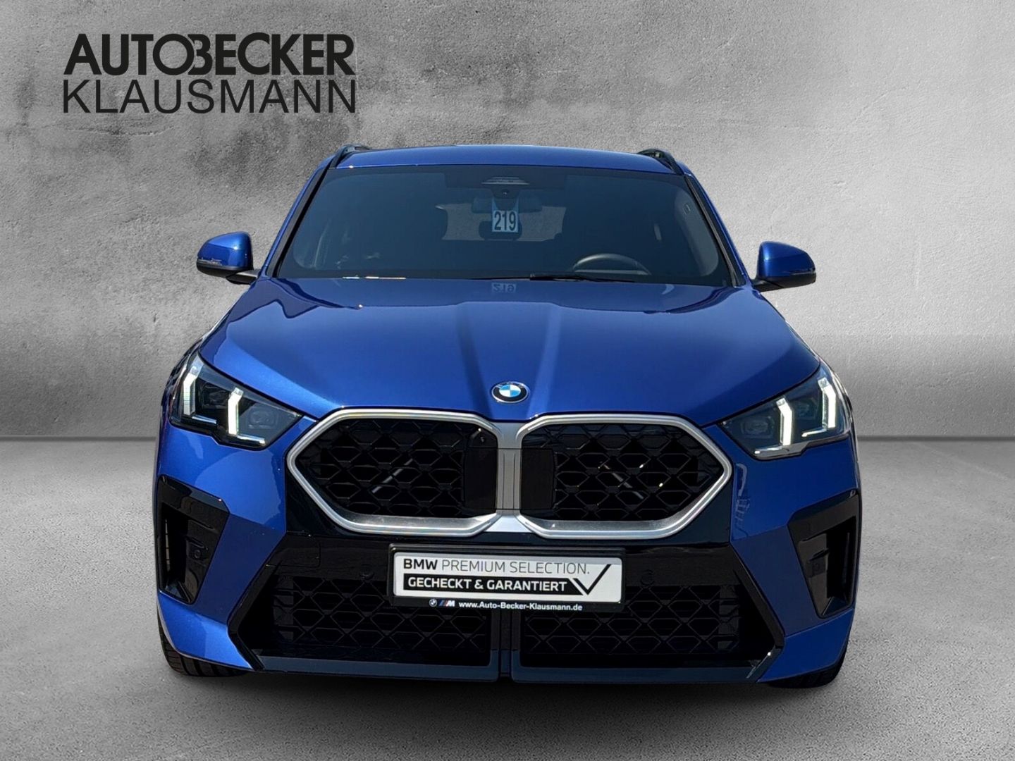 BMW X2 xDrive20d M SPORT 19''LC PROF HuD AHK ACC 360