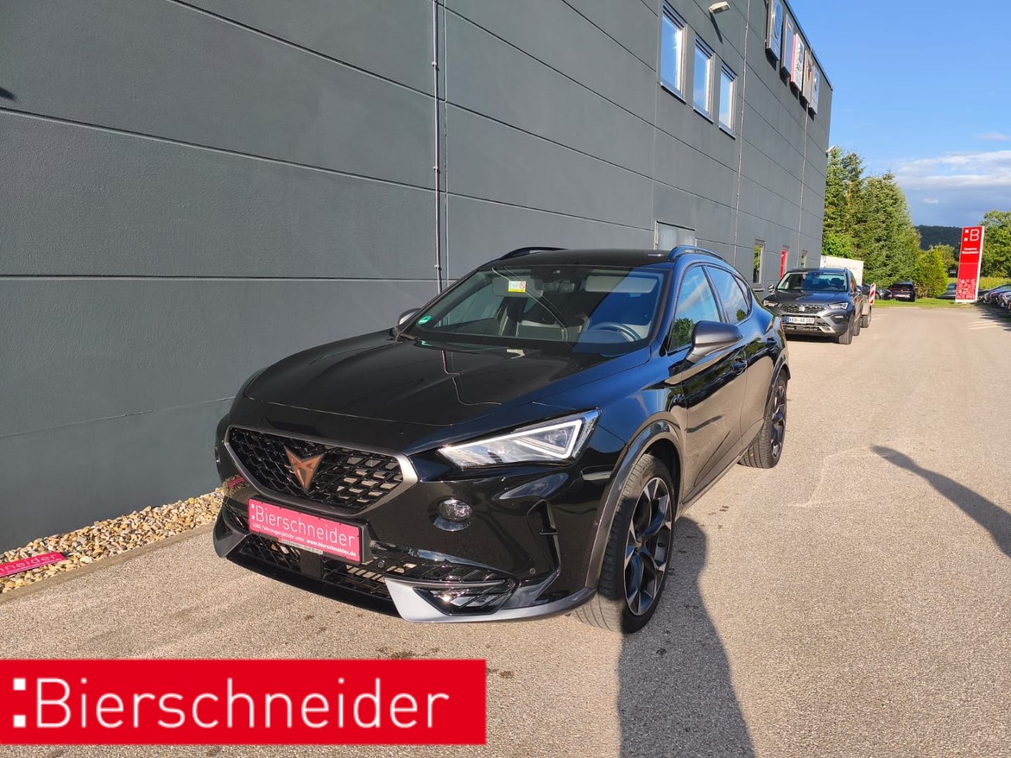 Cupra Formentor 2.0 TSI DSG 4Drive VZ MATRIX BEATS AHK