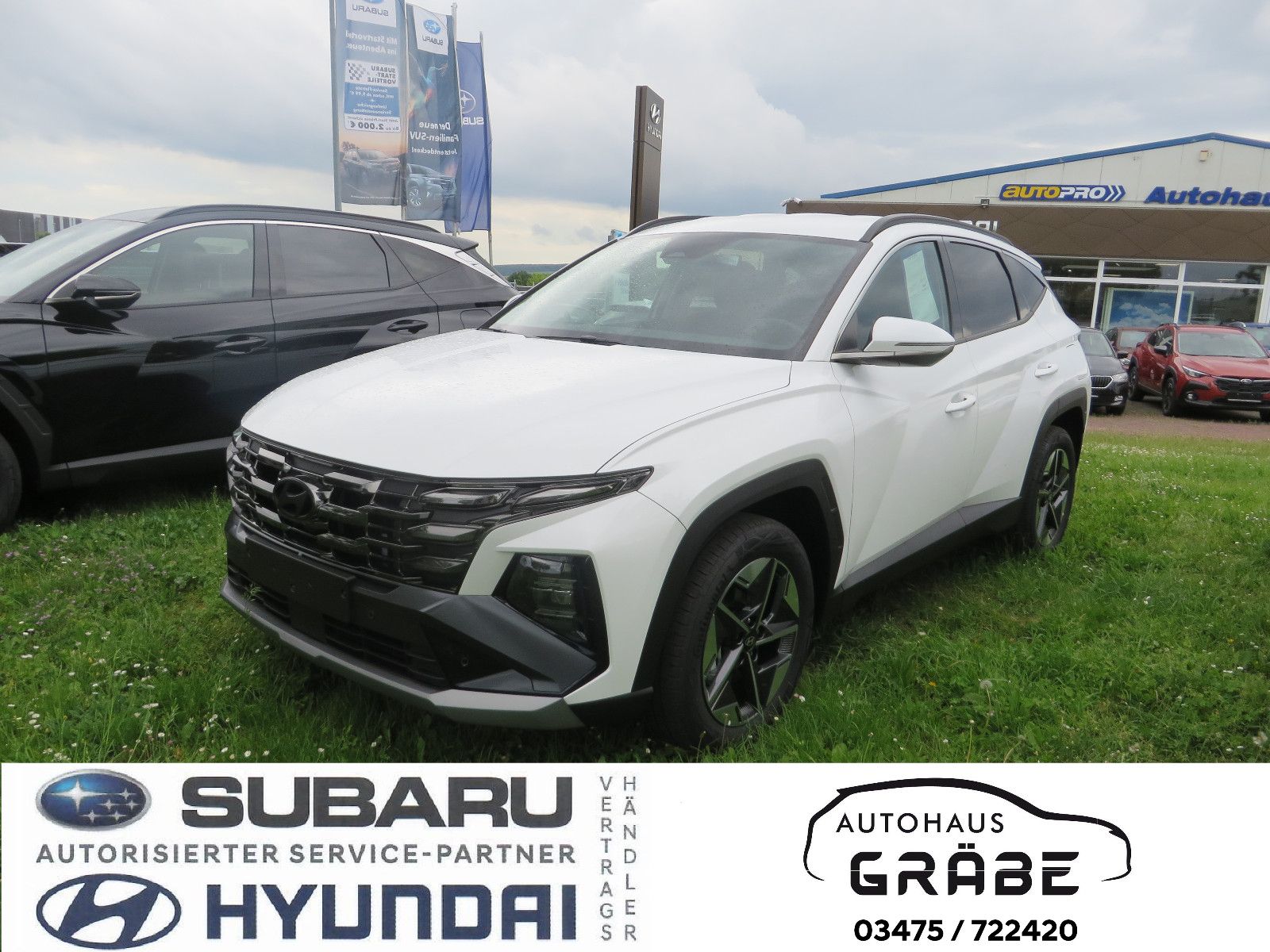 Hyundai TUCSON 1.6 T-GDI DCT Trend - Samsaru's Car Outlet