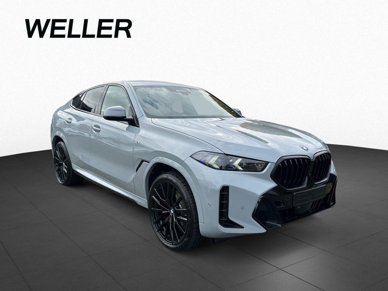 BMW X6 xDrive30d M-Sport Pro, PA/DA-Prof. AHK, 22