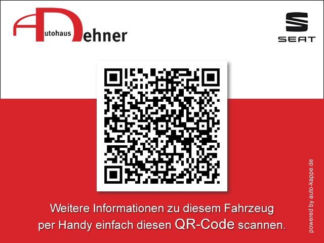 Cupra Formentor VZ 2.0 TSI DSG 4Drive 4JGAR/AHK/PANO/e