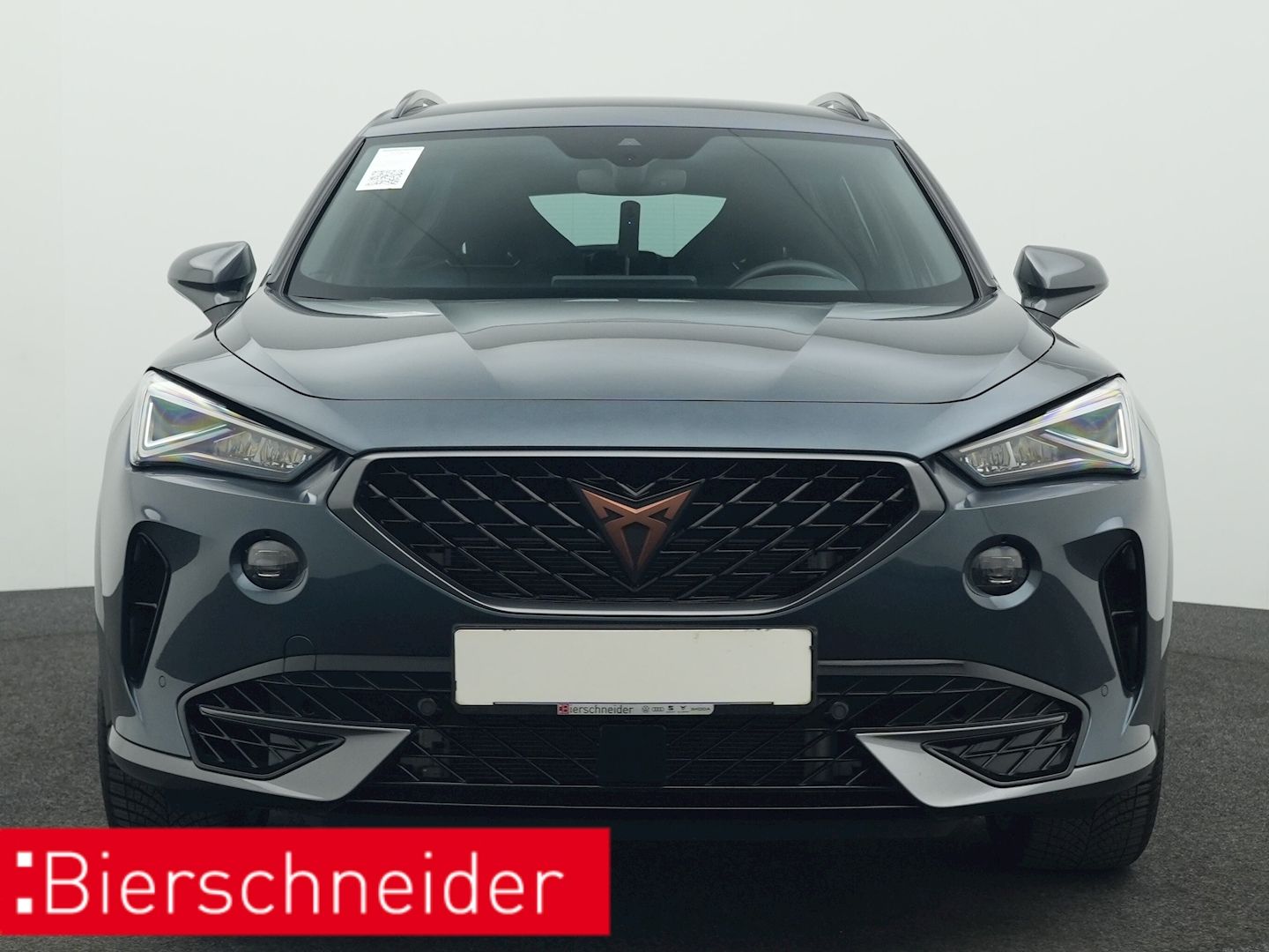 Cupra Formentor 2.0 TSI DSG 4Dr. VZ AHK NAVI KAMERA AC