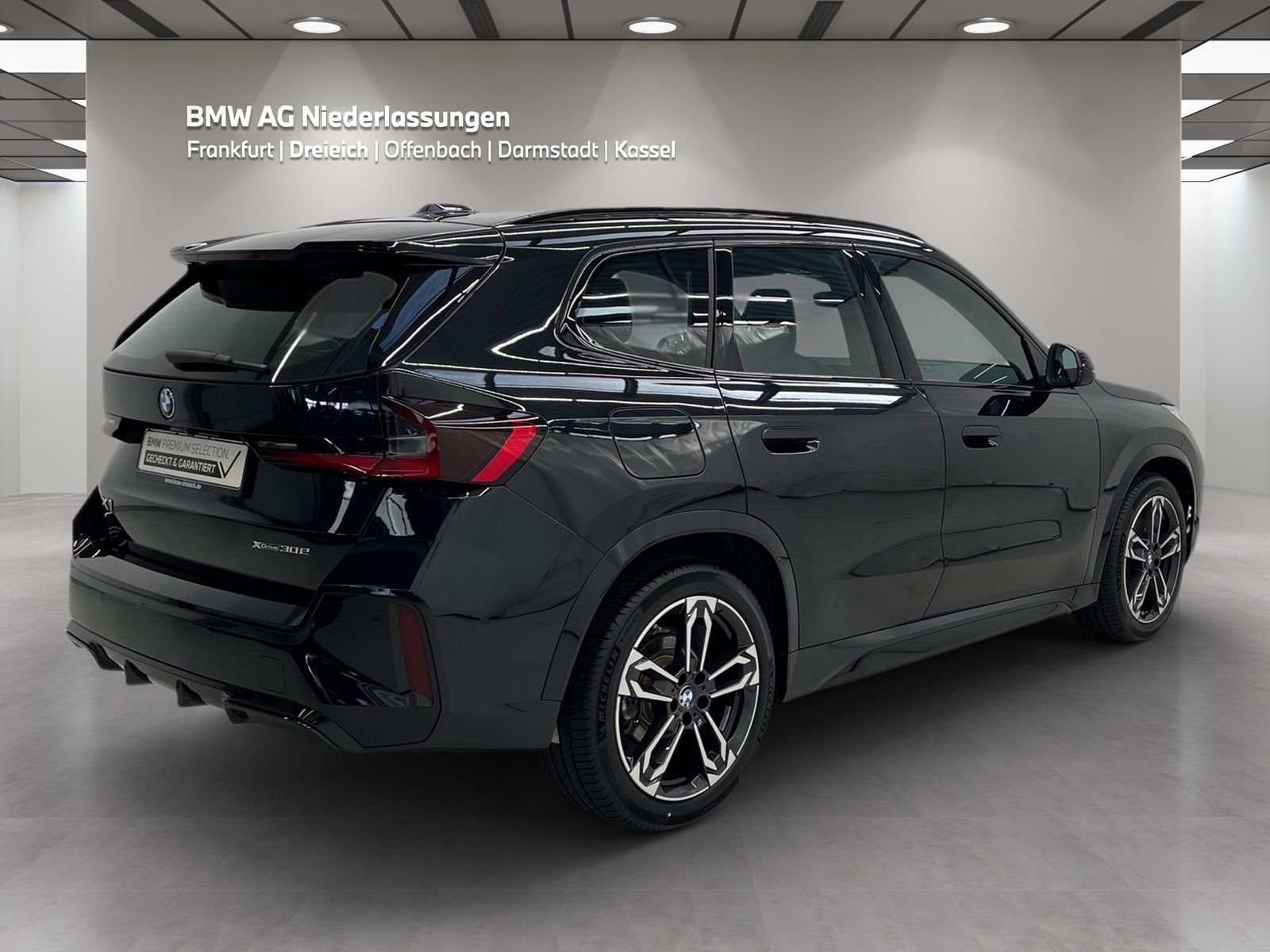 BMW X1 xDrive30e M Sport AHK Driv.Assist.Prof LED
