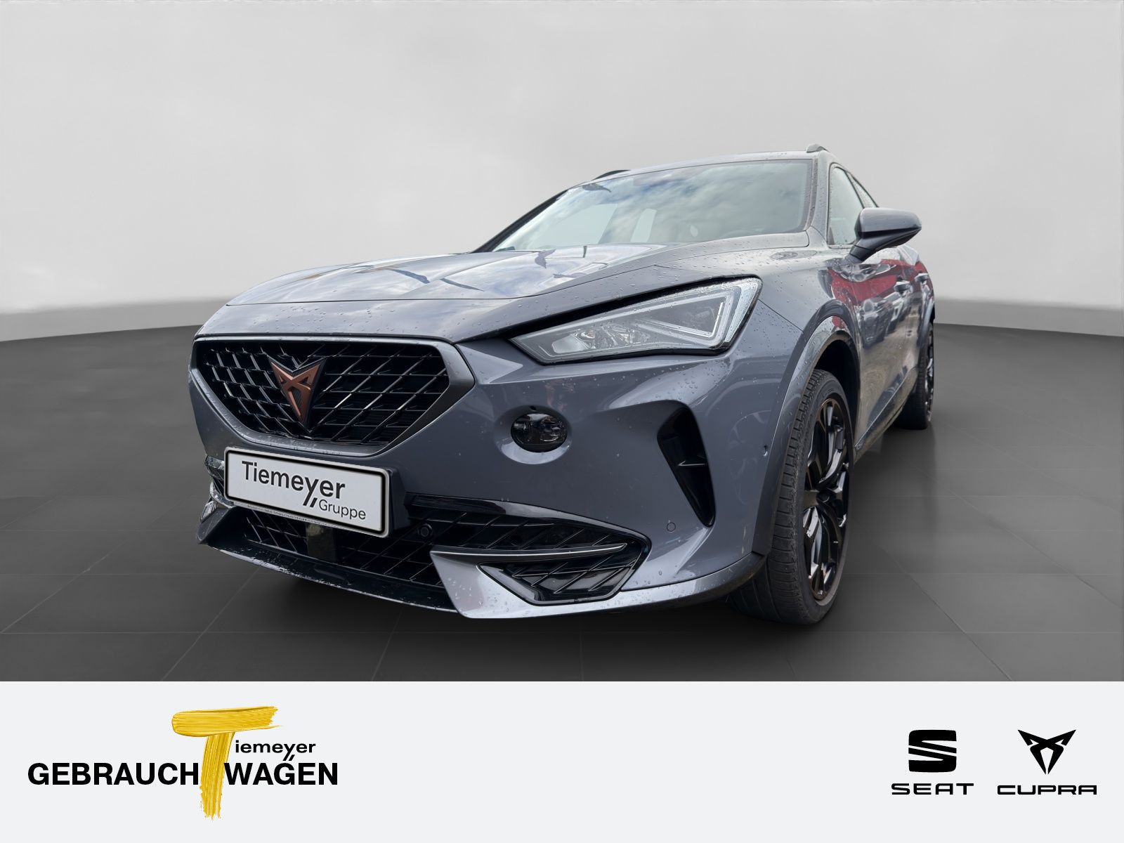 Cupra Formentor VZ 2.0 TSI BREMBO AHK PANO BEATS eKLAP