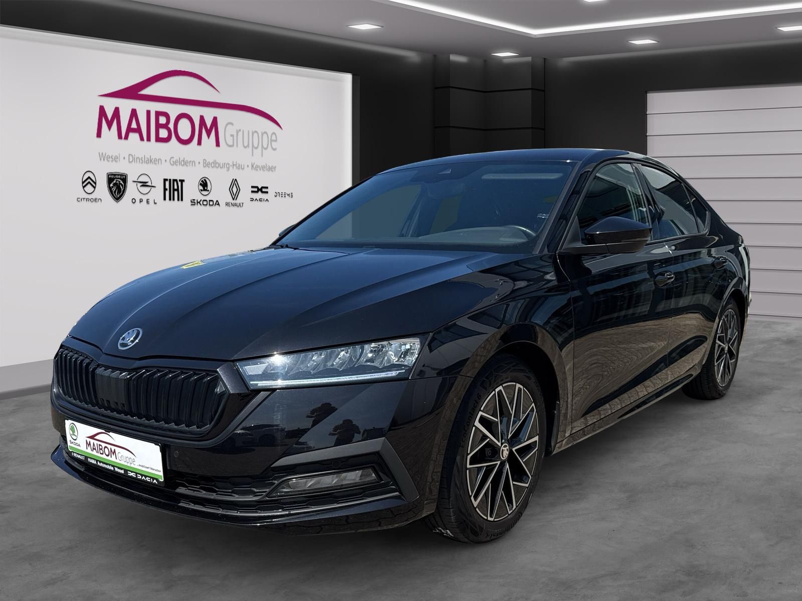 Skoda Octavia First Edition KEYLESS LED ACC LENKHZ PDC