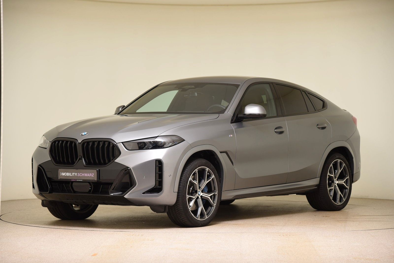 BMW X6 xDrive30d M Sport Pro HUD AHK Pano LED H&K