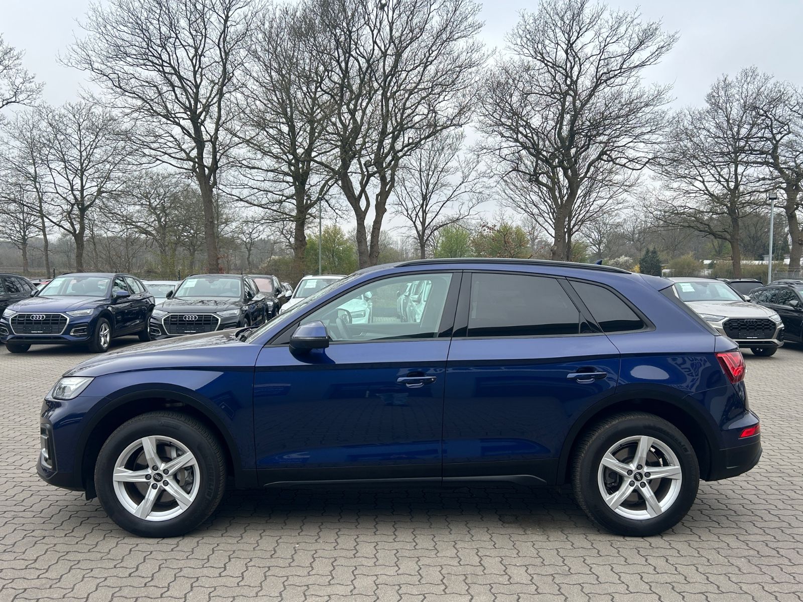 Audi Q5 40 TDI quattro - Samsaru's Car Outlet