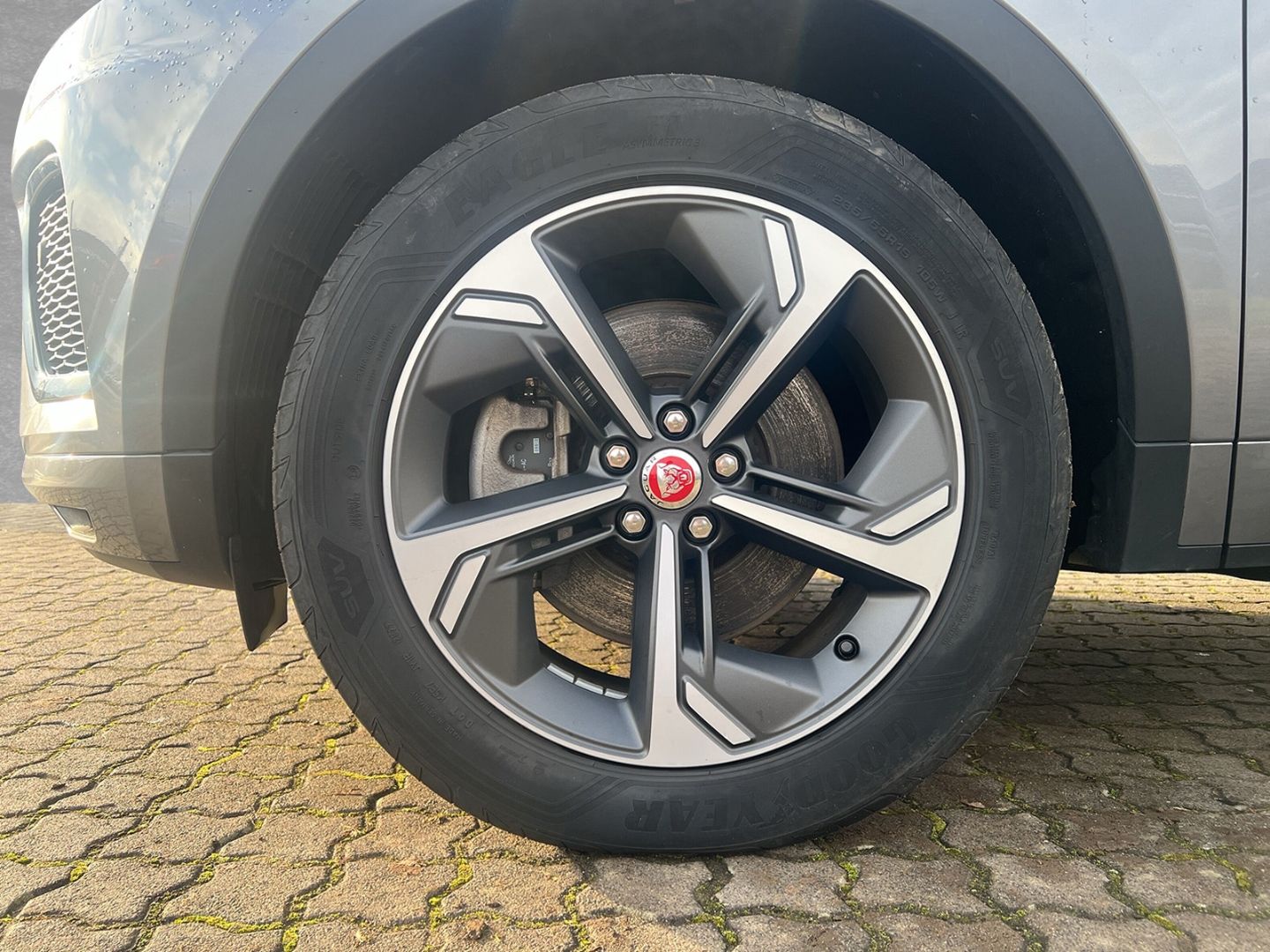 Jaguar E-Pace P300e R-Dynamic SE AWD *AHKe*BlackP.*