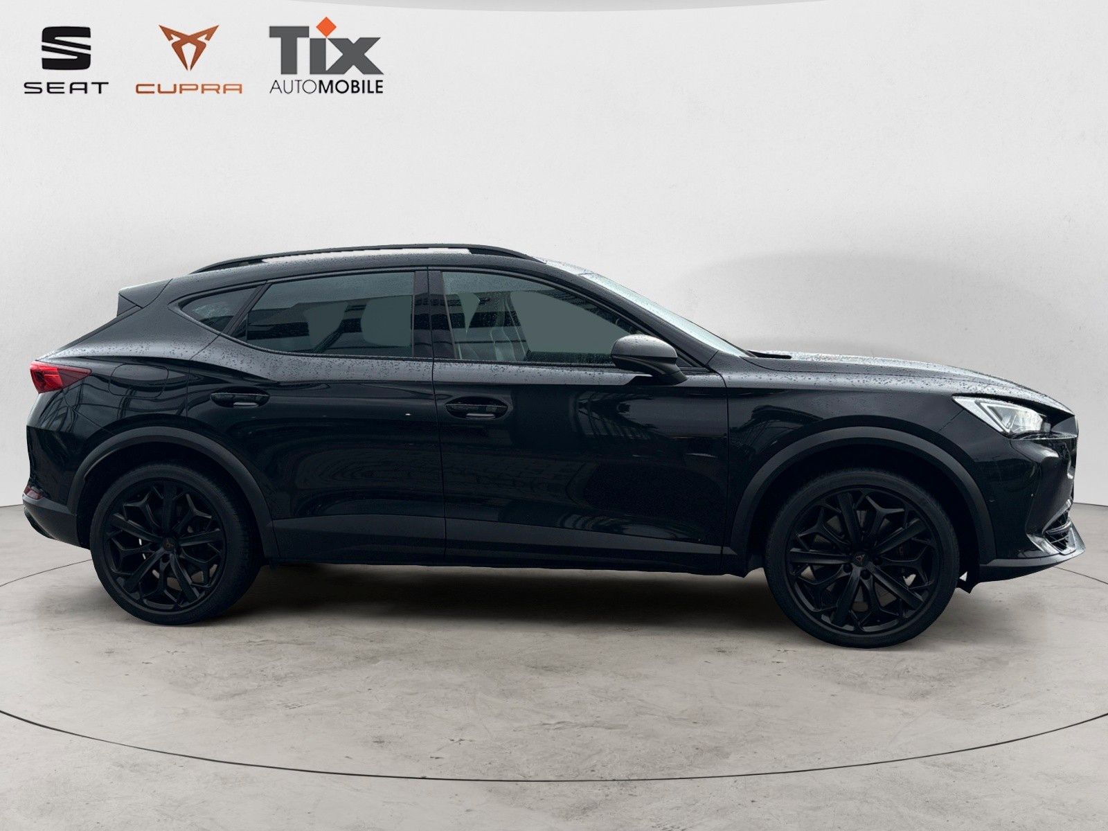 Cupra Formentor 2.0 TSI VZ Tribe Edit. 4D,DSG AHK,Pano