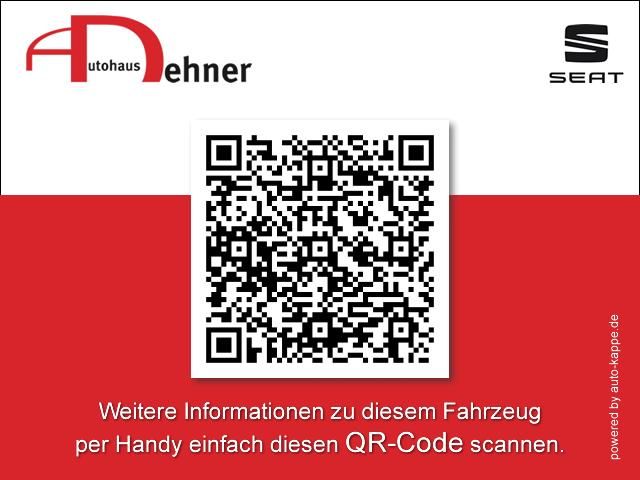 Cupra Formentor VZ 2.0 TSI DSG 4Drive 4JGAR/AHK/PANO/e