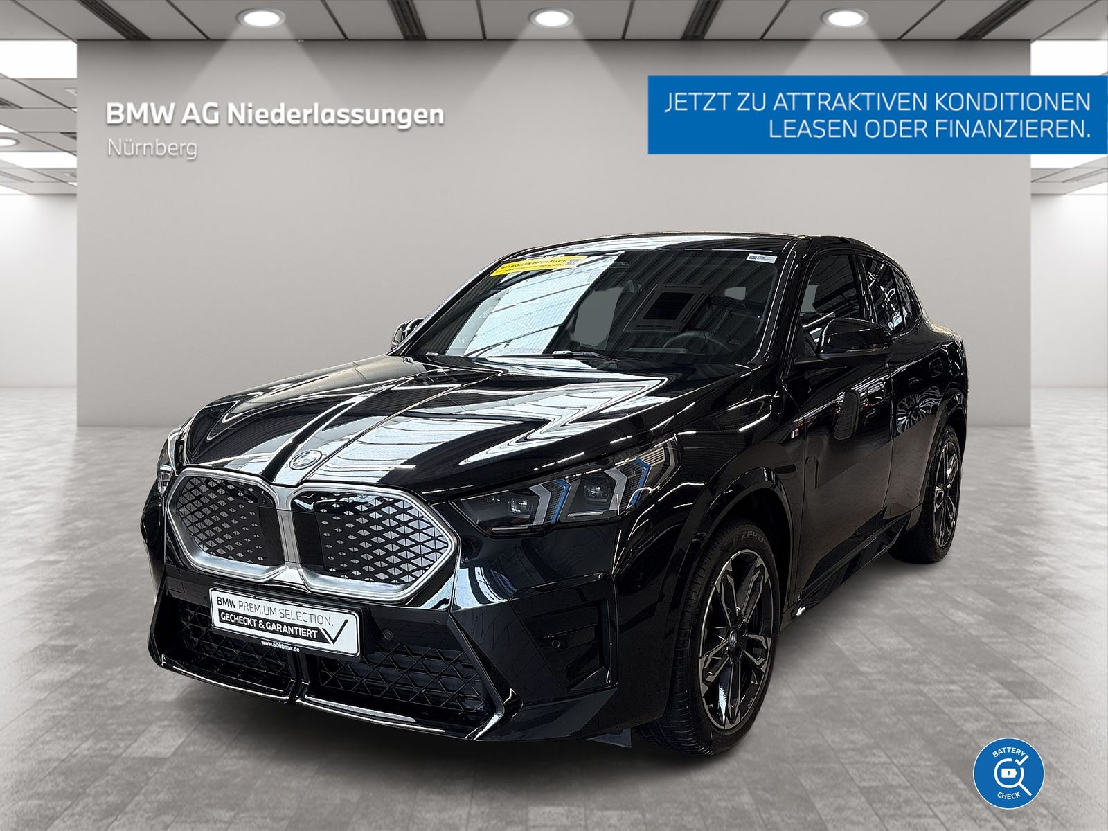 BMW iX2 xDrive30 M Sport Driv.Assist.Prof Harman/K