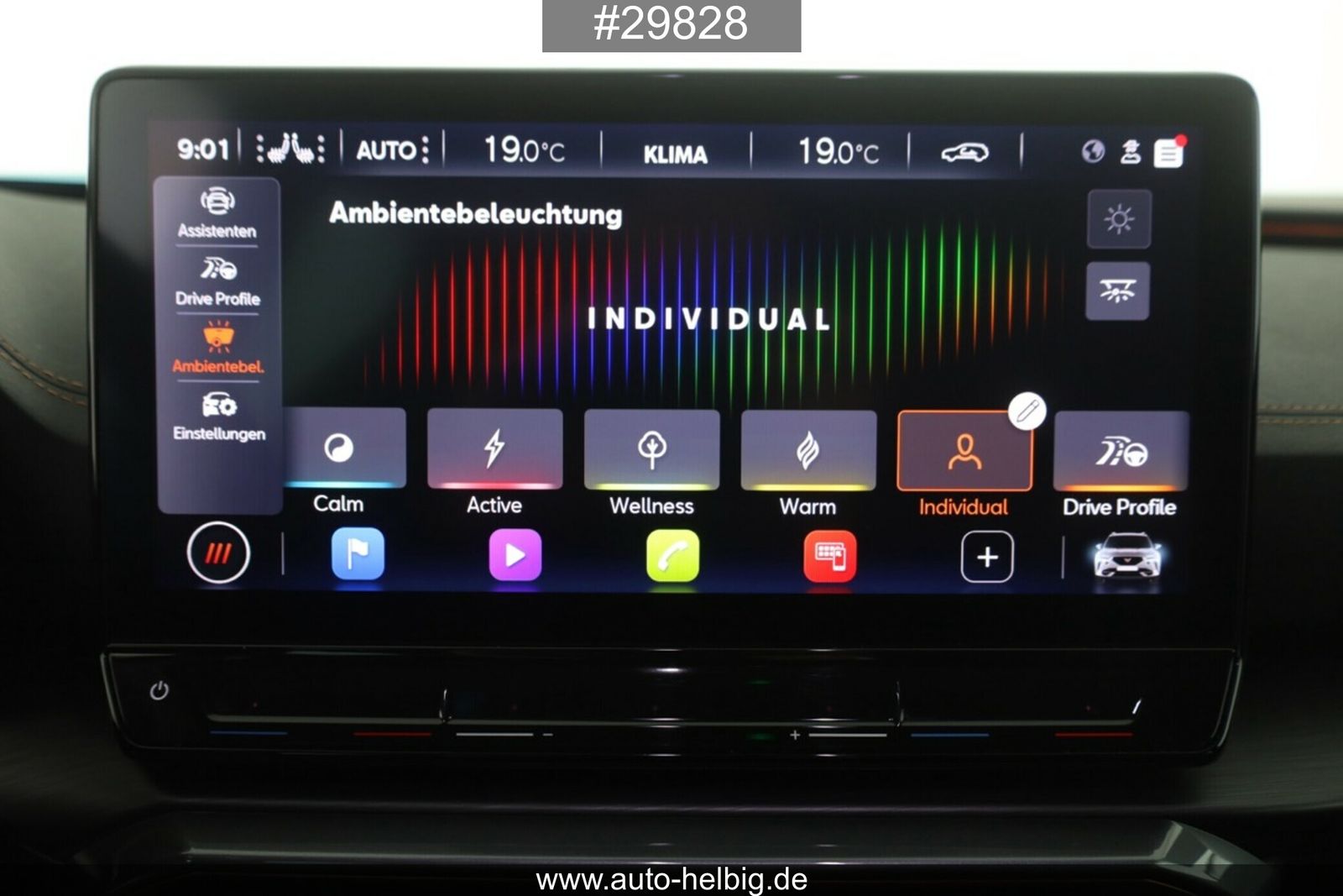 Cupra Formentor 2.0 TSI VZ #AHK#360°#LED#BEATS#DCC#ACC