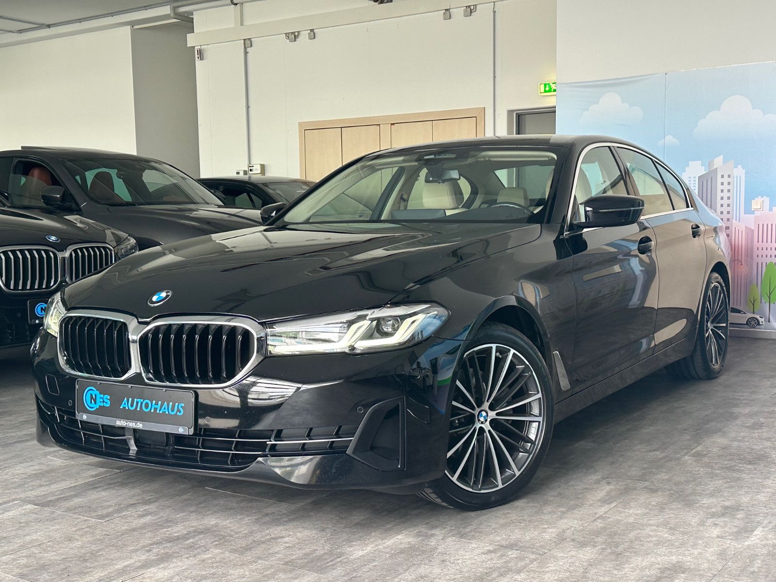 BMW 520d xDr *ACC*DRIVING*4-ZONEN KL.*KAM*HiFi*LEDER