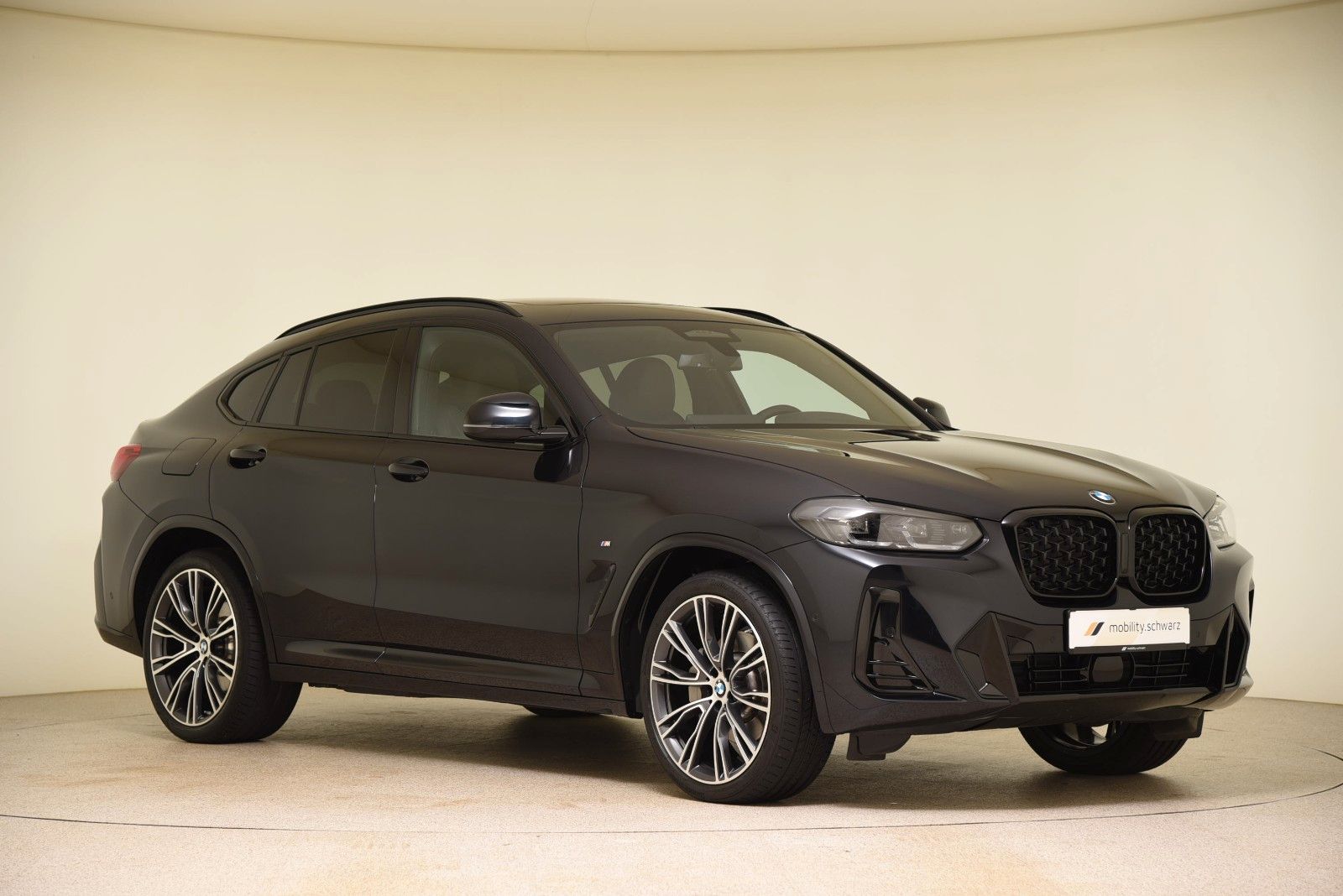 BMW X4 xDrive30d M Sport ACC AHK HUD HiFi Pano Alarm