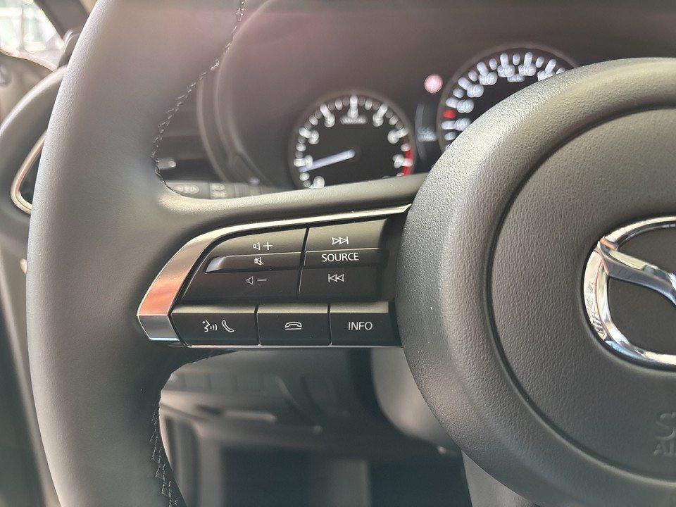 Mazda Cx-30 Homura 2.5i VOLL LED+KAMERA+HEAD UP+SITZHZ