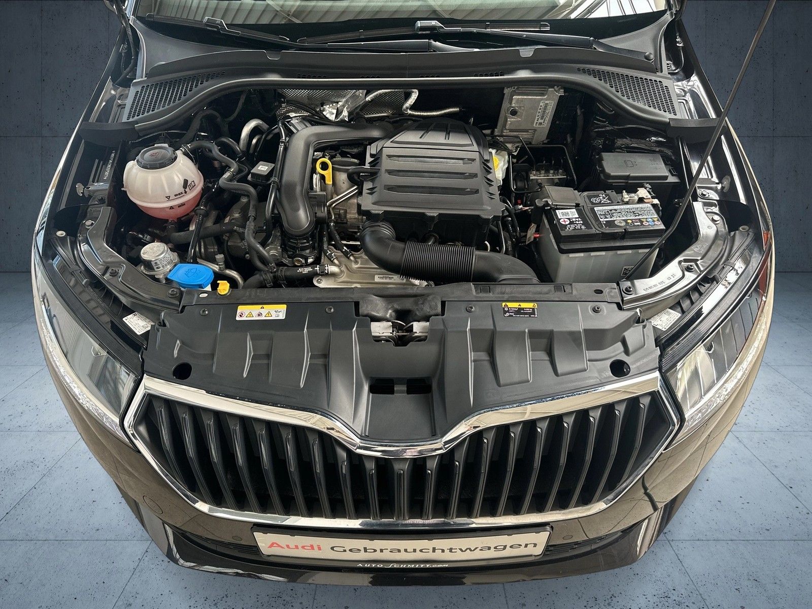 Skoda Fabia Clever 1.0 TSI DSG - Samsaru's Car Outlet