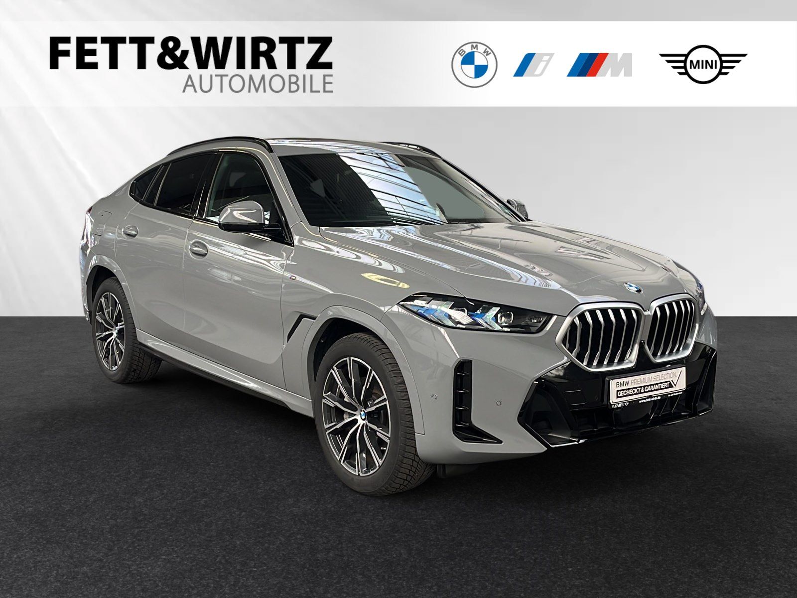 BMW X6 xDrive30d Individual-Nardograu|Panorama|AHK