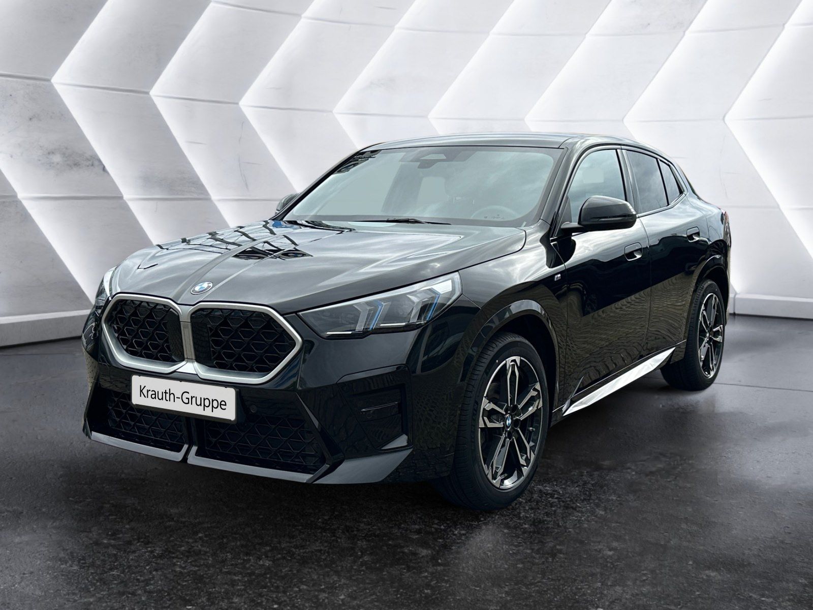 BMW X2 xDrive20d M Sportpaket HK HiFi DAB LED Shz