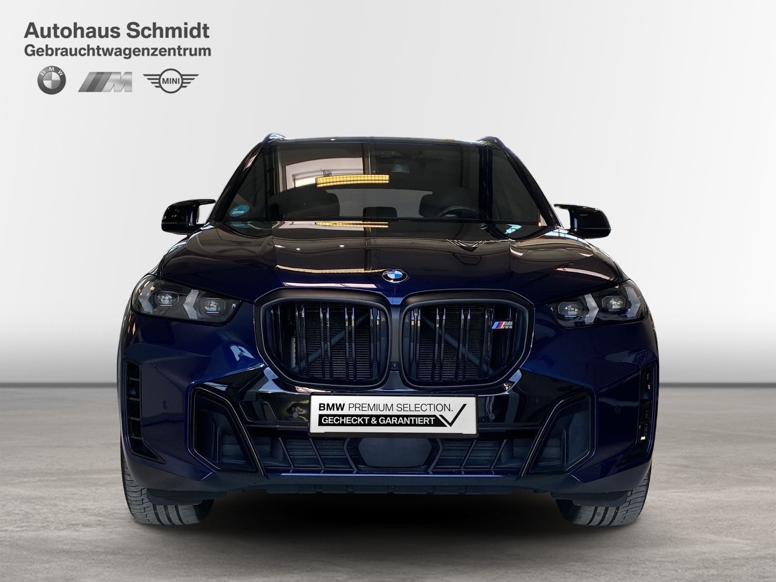 BMW X5 M60i xDrive *M Sportpaket Pro*21"*LC Prof.*HU