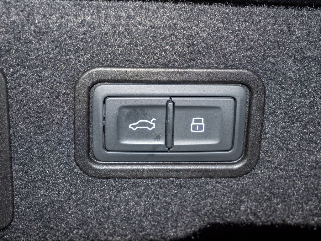 Audi A8 60 TFSI e L quattro - Samsaru's Car Outlet