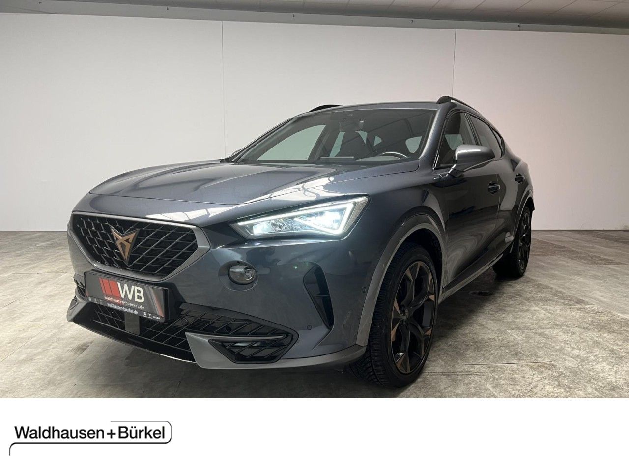 Cupra Formentor VZ 2.0 TSI DSG 4Drive Panorama Klima