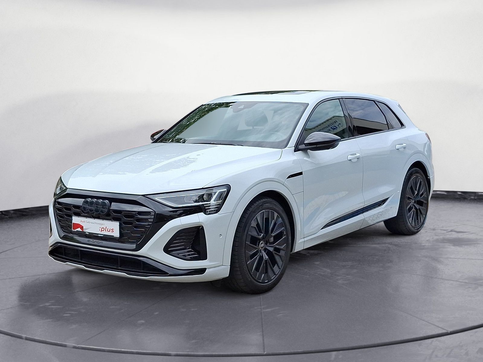 Audi Q8 S line 55 e-tron quattro