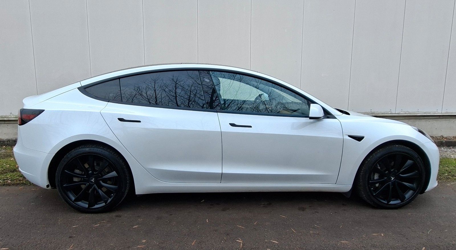 Tesla Model 3 Long Range Dual AWD SOH 93 %