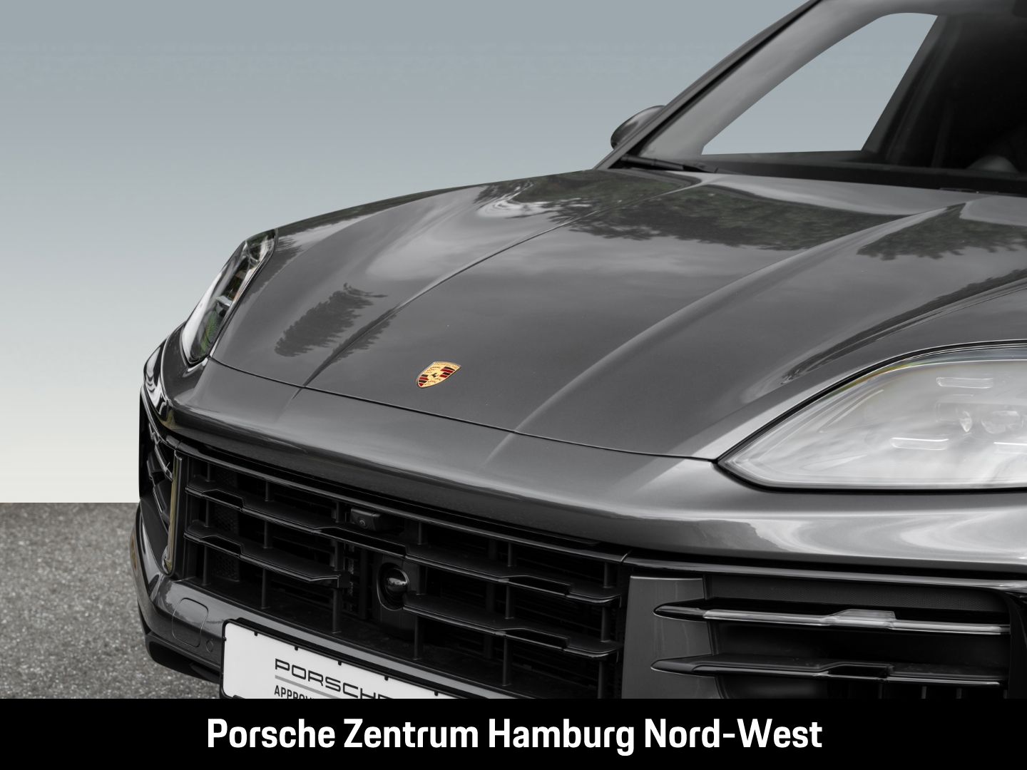 Porsche Cayenne E-Hybrid Panoramadach PASM BOSE ACC 360°