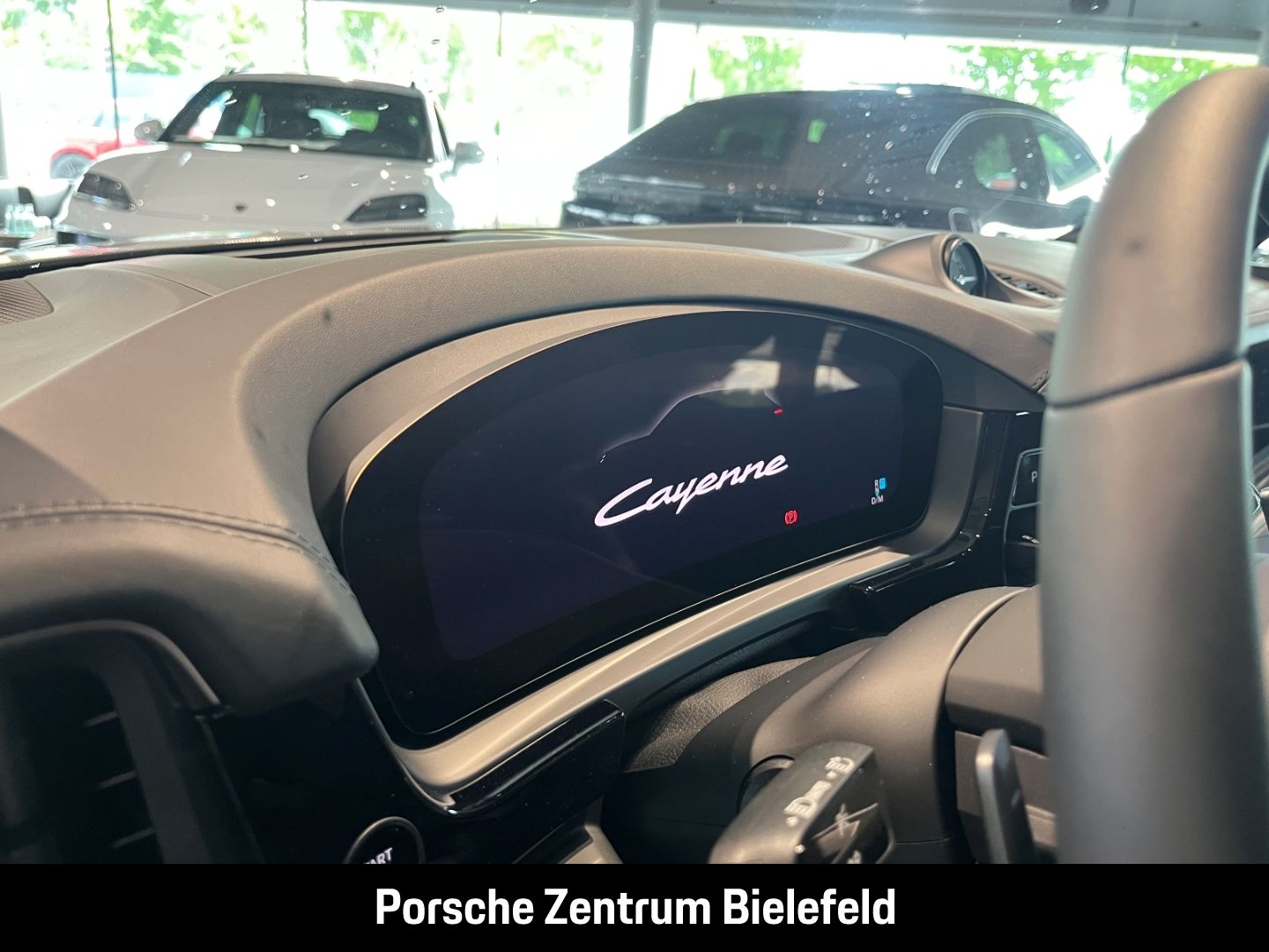 Porsche Cayenne BOSE Sportabgasanlage Panoramadach LED