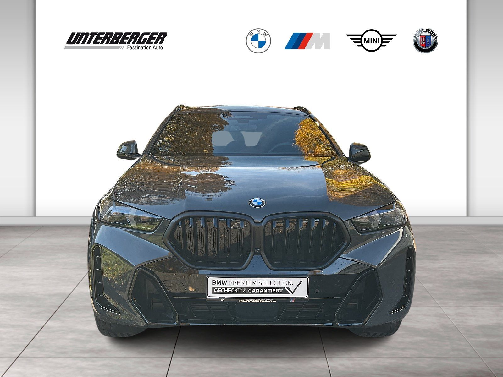 BMW X6 xDrive40d M Sport Gestiksteuerung HK HiFi