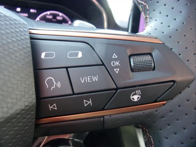 Cupra FORMENTOR VZ 2.0 TSI 4DRIVE DSG AHZV NAVI DAB+