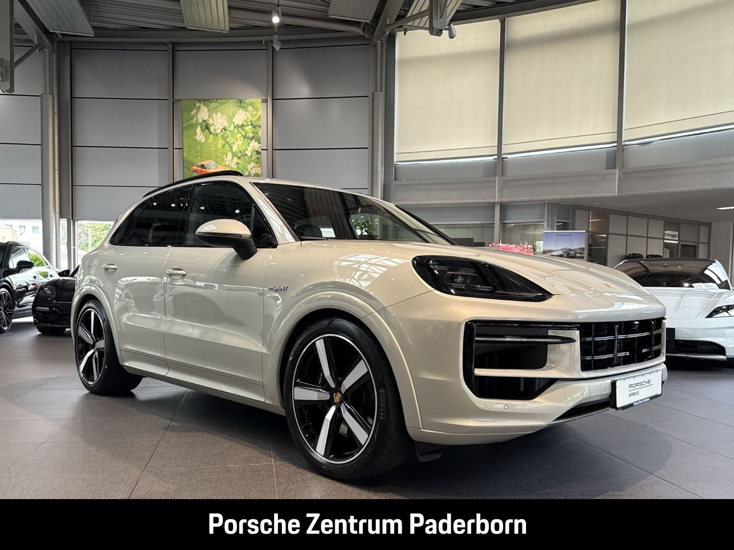Porsche Cayenne S E-Hybrid Sportabgasanlage Panoramadach