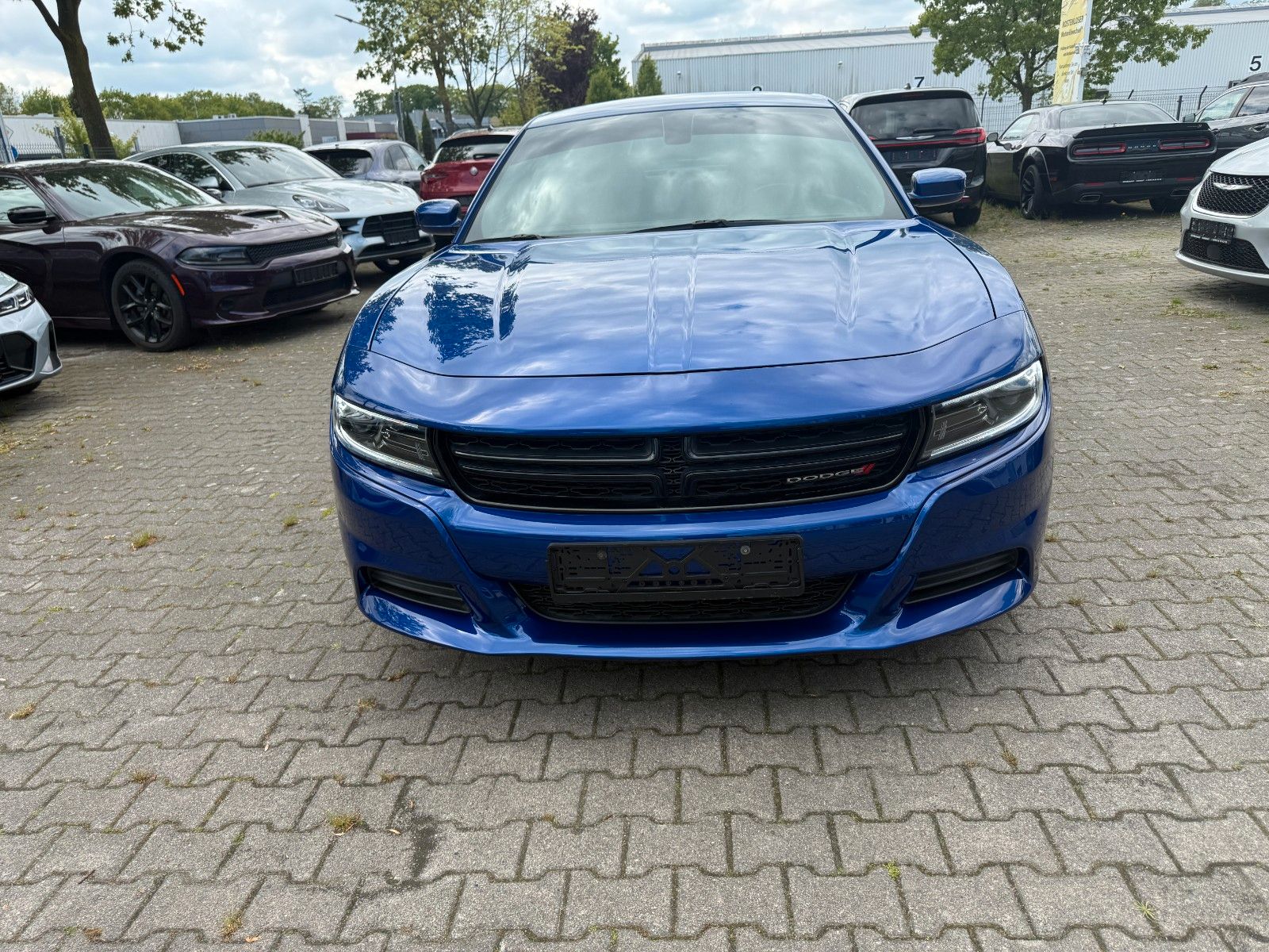 Dodge Alpina,Sitzbelüftung,R20,LED,Lederausst