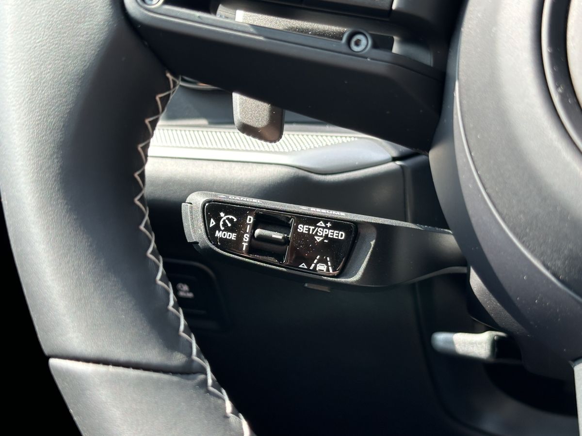 Porsche Cayenne S E-Hybrid | Hinterachslenkung | PDCC |