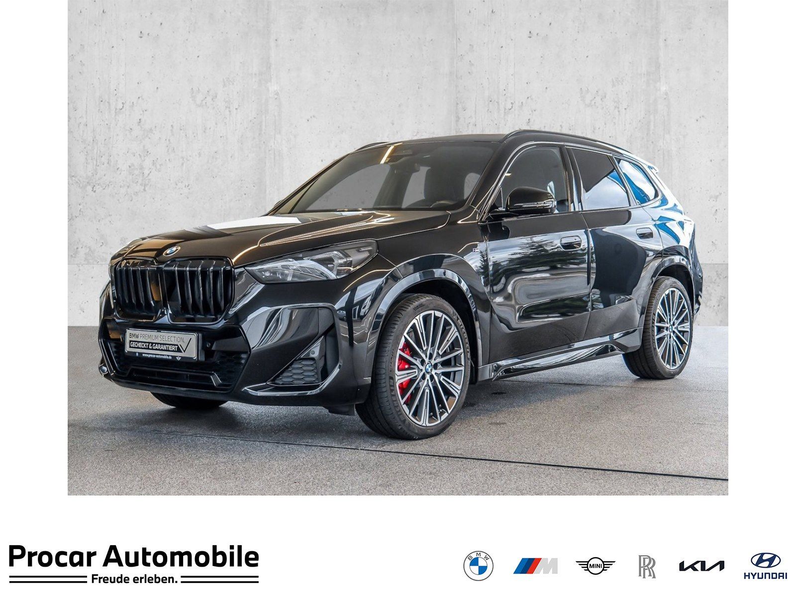 BMW X1 xDrive23d M Sport HUD PANO ACC AHK 360°KAM