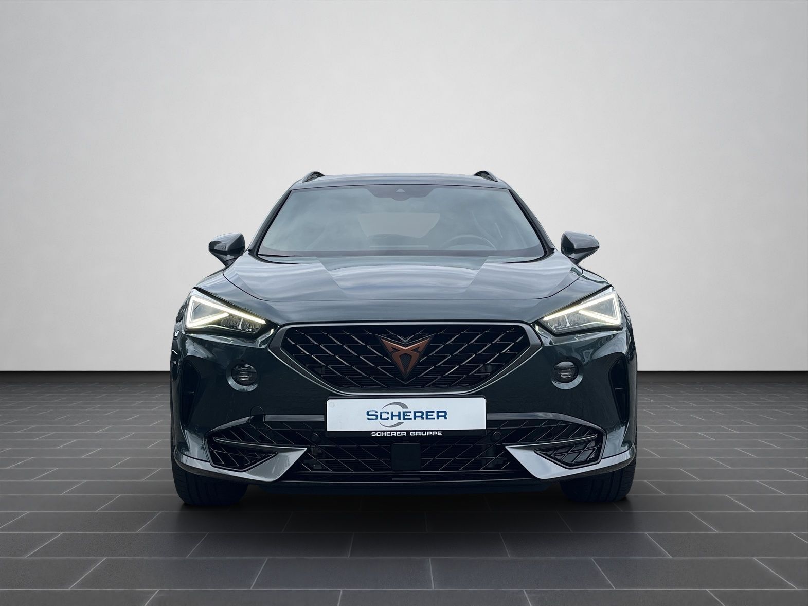 Cupra Formentor VZ 2.0 TSI 4Drive OPF Navi, Memory, Be